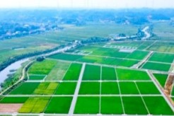 围棋象棋同台竞技文化旅游融合赋能 长沙县“福彩杯”棋类年度总决赛在路口镇圆满落幕