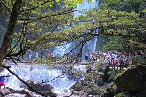 幸福好时光栏目粉丝探秘湖南株洲炎陵县密花村的田园诗意之旅