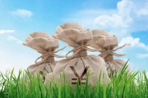 反诈宣传月特别报道：平安银行安全吗？