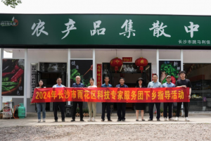 雨花区科技专家服务团深入农村，助力花卉苗木产业技术升级