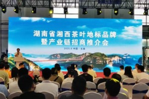 湘西茶叶地标品牌闪耀长春农博会 跨区域合作共拓新未来