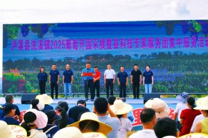 泸溪县洗溪镇举行葡萄开园采摘暨县科技专家服务团集中服务活动