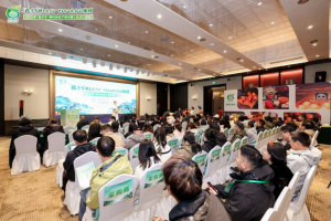 “桂字号”柳州柑桔绽放星城，产销对接共绘华中市场新蓝图